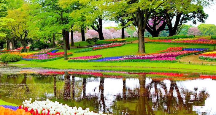 Keukenhof, in Olanda il giardino primaverile di fiori ispirato a Mondriaan