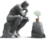 Piante: altro che stupide, sono organismi intelligenti ed evoluti
